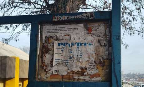 Дошка оголошень: березень 2026 року