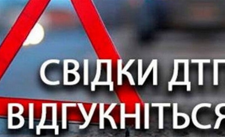 У Добропіллі шукають свідків смертельної аварії: що сталося