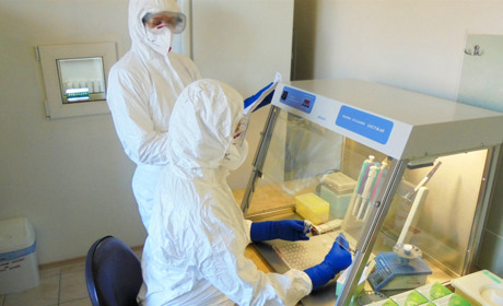 Скільки коштує зробити дослідження на коронавірус і чому цього не можуть робити у районних лікарнях