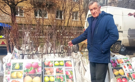 Весна в саду: як обрати та посадити фруктові дерева. Поради гадячанам