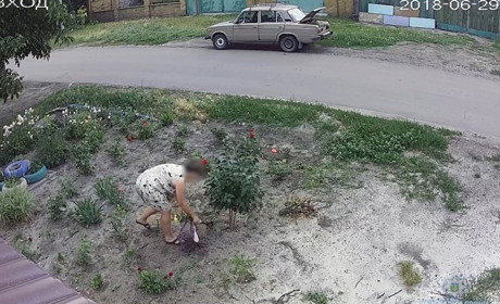 Зухвала крадійка «засвітилася» у Покровську на камерах відеоспостереження