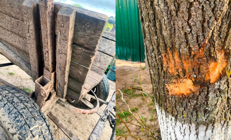 На Сарненщині двоє юнаків травмувалися в аварії з гужовою підводою