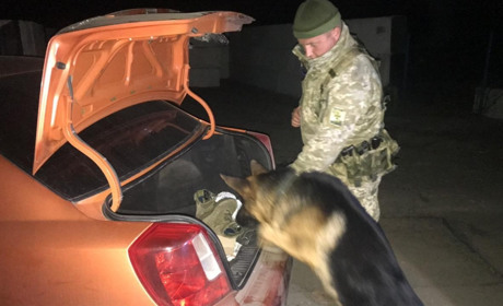 На КПВВ "Золоте" службовий пес знайшов наркотики в автівці місцевого мешканця