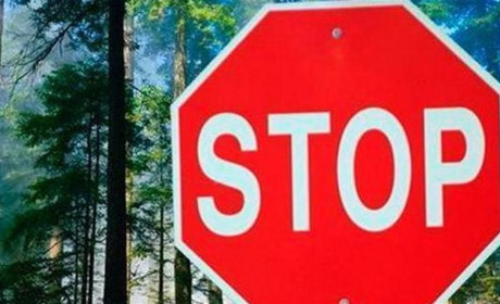 У ліси Рівненщини заборонили в’їзд транспорту