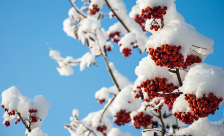 Якою буде погода у Сватовому у останній тиждень 2018