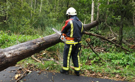На Володимиреччині негода повалила на дорогу дерева