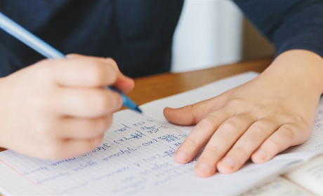 Отмена ВНО приведет к коррупции при поступлении в вузы, считают мелитопольские выпускники