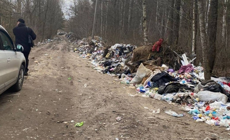 Ліквідовано стихійне сміттєзвалище на Звягельщині, яке раніше зафіксувала Екоінспекція