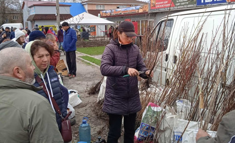 Весна переможе: на базарі вперше продавали саджанці. Репортаж з недільних торгів