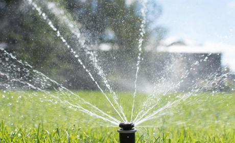 Чи варто інвестувати в автоматичний полив: що це та як він працює?