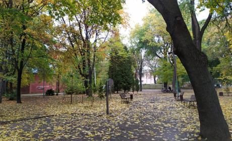 Із середи погода в Умані знову стане осінньою