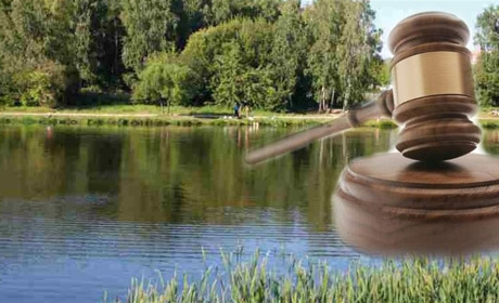 У Городку здають в оренду два ставки та землю під інженерні споруди у Великій Леваді: подробиці