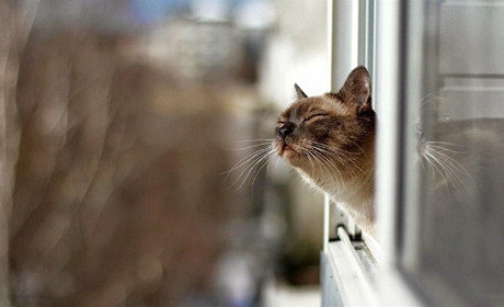 Температурні рекорди триватимуть? Чого чекати Україні