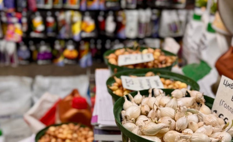 Не земля родить, а руки: пройди тест і перевір, чи хороший із тебе городник