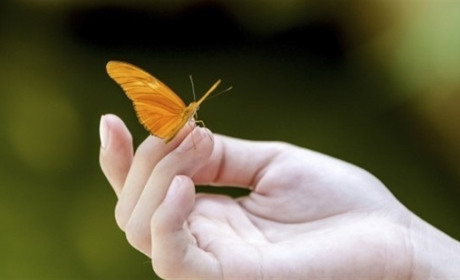 Поспішайте любити життя, все інше поспіху не потребує