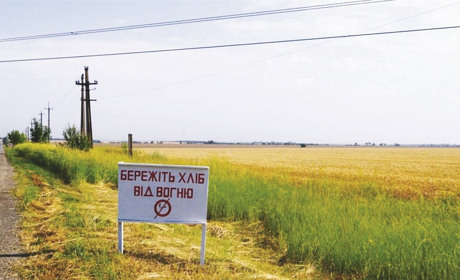 Горячая пора: случайно брошенный окурок может уничтожить урожай на поле, посадки и частные усадьбы