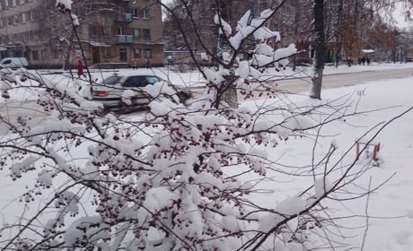 Щоденний дайджест від Золотоноша.City: зустрічаємо новий день – 28 грудня 2021 року