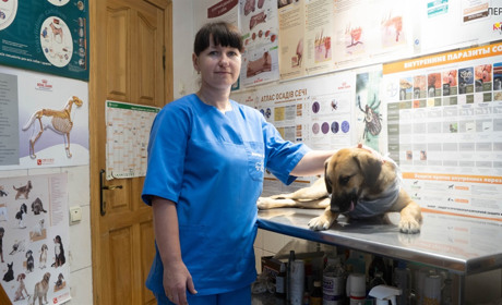 «Проблему з безпритульними собаками в Переяславі можна вирішити чіпуванням та великими штрафами»