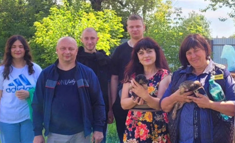 Зооволонтери просять допомогти прилаштувати тварин, вивезених із зони бойових дій