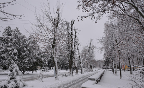 Щоденний дайджест від Золотоноша.City: зустрічаємо новий день – 8 грудня 2021 року