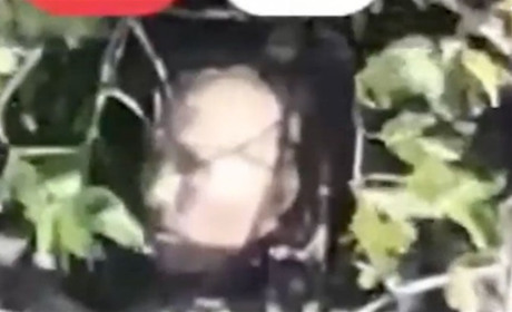 Скільки ж там їх? Нацгвардійці ліквідували двійника Путіна