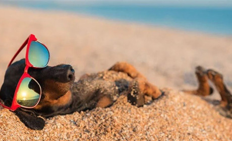 Спека до +36: якої погоди чекати мешканцям Сватівщини з 12 по 18 липня 2021 — прогноз на тиждень