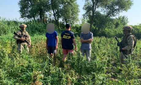 У плавнях накрили наркоаграріїв