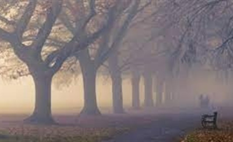 Туман, дощі та заморозки на поверхні грунту: що прогнозують синоптики Сумщини та України