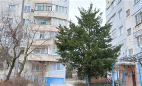 В Україні на початку тижня збережеться м'яка погода, але на Різдво очікуються морози