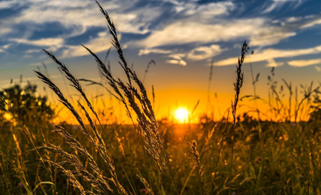 Яка погода буде у Сватовому і районі з 6 по 12 липня 2020: прогноз на тиждень