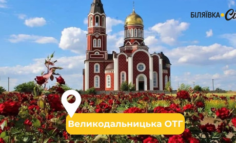 «Інфоксводоканал» обмежив водопостачання Великому Дальнику: місцева рада вважає ці дії незаконними