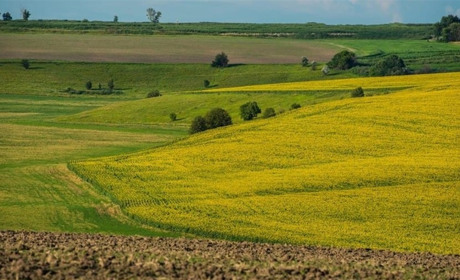 У державну власність повернули землі на Смілянщині, які належали громадянину рф