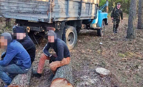 У Вараському районі поліцейські впіймали крадіїв лісу