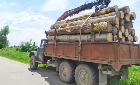 Рафалівського лісничого впіймали на хабарі