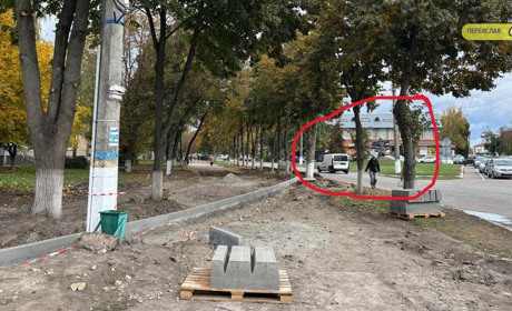 Спиляють липи задля нового тротуару, а ще "абсолютно сухі й аварійні": у Переяславі зріжуть 28 дерев