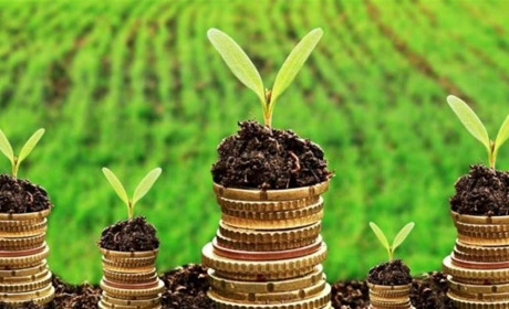 Хмельниччина у ТОП-10 регіонів за обсягами кредитування агропромислового комплексу