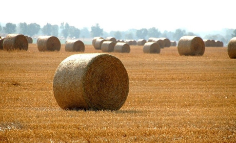 Якою буде погода на Сватівщині з 9 по 15 серпня 2021: прогноз на тиждень