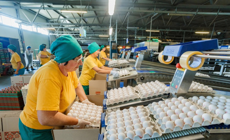 Яким буде нове підприємство “Ясенсвіт” у Кагарлику