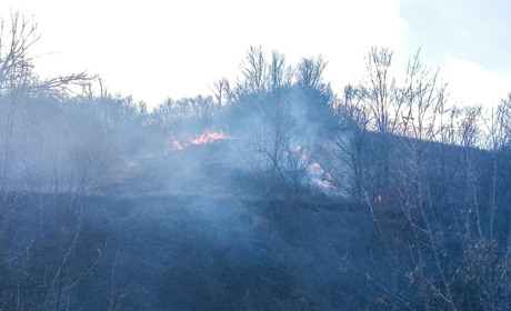 5 разів рятувальники Кагарлика та Ржищева минулого тижня гасили траву