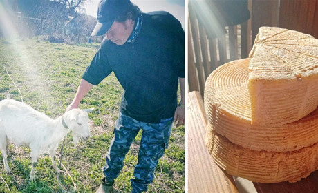 Сім’я з Кіцманя створила міні-ферму кіз та виготовляє натуральний сир