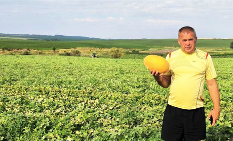 Фермер Василь Івасюк: “На Кіцманщині вирощуємо кавуни вагою до 20 кілограмів і дині”