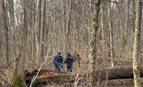 Триває розмінування Уманщини: знешкоджено 36 тисяч боєприпасів