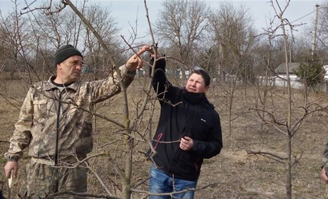 Учні шкіл Барського району підготували шпаківні для птахів та вчилися азам обрізки дерев