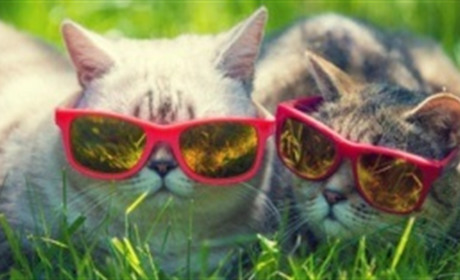 В Україні очікується зниження температури: синоптик дав прогноз до кінця липня