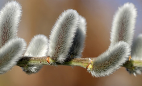 Синоптики прогнозують холодні вихідні: якою буде погода у Сватовому і районі з 9 по 15 березня 2020
