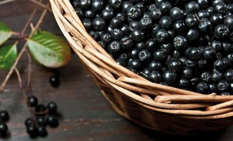 Чорноплідна горобина: лікуємося смачно