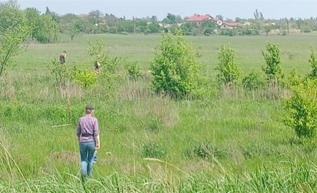 Пропавшего дедушку нашли