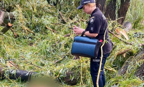 На Одещині дерево під час грози вбило 15-річного хлопця, ще четверо дітей у лікарні