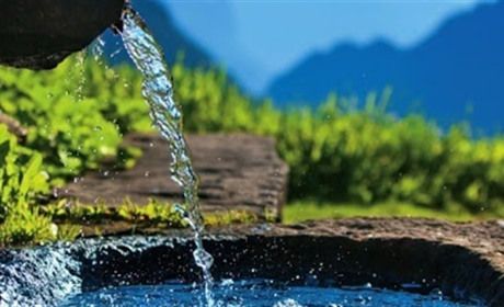 Почему природные источники полезны для укрепления здоровья?