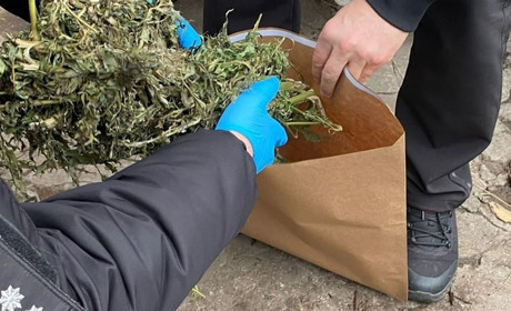 Поліцейські спільно з прикордонниками виявили у жителя Білопілля канабіс